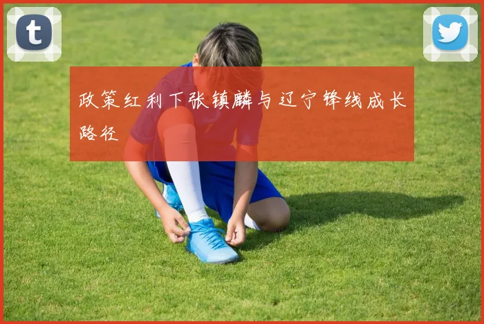 政策红利下张镇麟与辽宁锋线成长路径