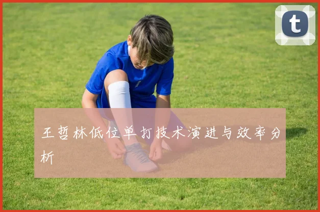 王哲林低位单打技术演进与效率分析