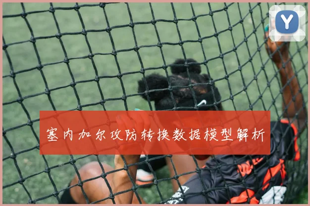 塞内加尔攻防转换数据模型解析