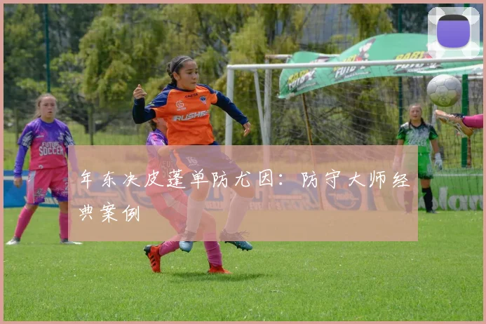 年东决皮蓬单防尤因：防守大师经典案例